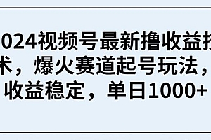 2024视频号最新撸收益技术,爆火赛道起号玩法,收益稳定,单日1000+
