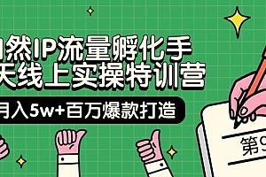 自然IP流量孵化手 14天线上实操特训营【第9期】月入5w+百万爆款打造 (74节)
