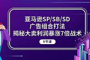 亚马逊SP/SB/SD广告组合打法,揭秘大卖利润暴涨7倍战术 (9节课)