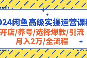 2024闲鱼高级实操运营课程:开店/养号/选择爆款/引流/月入2万/全流程