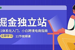 掘金 独立站,0-1体系化入门,小白跨境电商指南(11节视频课)