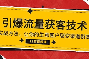 《引爆流量 获客技术》实战方法,让你的生意客户裂变渠道裂变(13节)