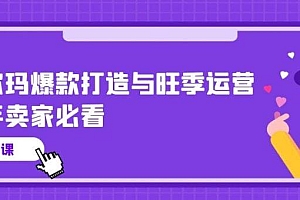 沃尔玛 爆款打造与旺季运营,新手卖家必看(11节视频课)