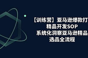 【训练营】亚马逊爆款打造之精品开发SOP,系统化洞察亚马逊精品选品全流程