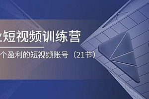 企业短视频训练营:打造一个盈利的短视频账号(21节)