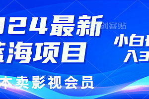 2024最新蓝海项目,0成本卖影视会员,小白也能日入3位数