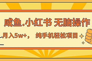 2024最赚钱的项目,咸鱼,小红书无脑操作,每单利润500+,轻松月入5万+…