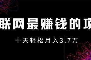 互联网最赚钱的项目没有之一,轻松月入7万+,团队最新项目