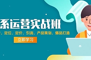 淘系运营实战班:市场分析、定位、定价、引流、产品策划,爆品打造