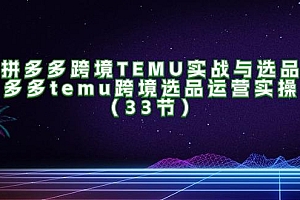 拼多多跨境TEMU实战与选品,多多temu跨境选品运营实操(33节)