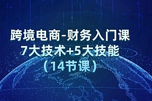 跨境电商-财务入门课:7大技术+5大技能(14节课)