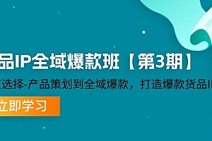 货品IP全域爆款班【第3期】赛道选择、产品策划到全域爆款,打造爆款货品IP