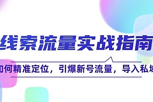 线 索 流 量-实战指南:如何精准定位,引爆新号流量,导入私域
