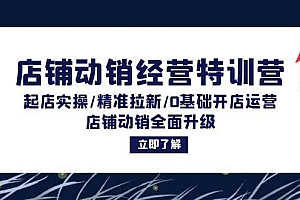 店铺动销经营特训营:起店实操/精准拉新/0基础开店运营/店铺动销全面升级