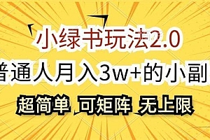 小绿书玩法2.0,超简单,普通人月入3w+的小副业,可批量放大