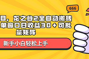 蓝海项目,龙之谷2全自动搬砖游戏,单窗口日收益30+可批量矩阵