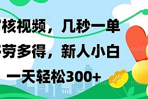 审核视频,几秒一单,多劳多得,新人小白一天轻松300+