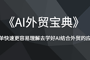《AI外贸宝典》简单快速更容易理解去学好AI结合外贸的应用