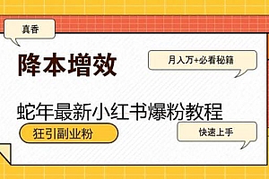 蛇年最新小红书爆粉教程,狂引副业粉,月入万+必看