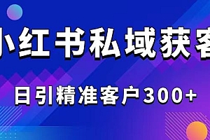 2025最新小红书平台引流获客截流自热玩法讲解,日引精准客户300+