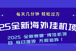 2025最新海外挂机项目:每天几分钟,轻松月入过万