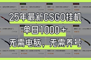 25年最新CSGO挂机系统,单日1000+,无需电脑,无需养号,0基础可上手