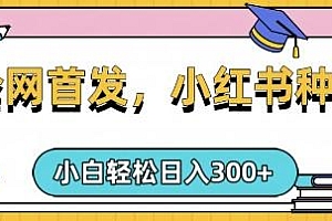 小红书种草,手机项目,日入3张,复制黏贴即可,可矩阵操作,动手不动脑