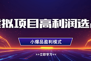 虚拟项目高利润选品方法,单店利润1W+,可多店倍增利润