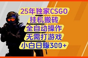 25年独家CSGO挂G搬砖,全自动操作,无需打游戏,小白日入3张+