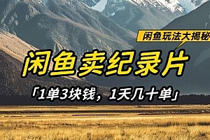 闲鱼卖纪录片1单3块钱,1天几十单,项目稳定有潜力