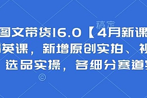 抖音图文带货16.0【4月新课】基础+精英课,新增原创实拍、视频混剪、选品实操,各细分赛道实操