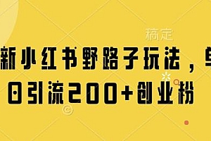 最新小红书野路子玩法,单日引流200+创业粉
