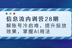 信息流内训营28期,解账号冷启难,提升投放效果,掌握AI用法