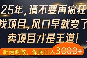 什么?25年你还在疯狂找项目做,醒醒吧,看完这些你全都懂了
