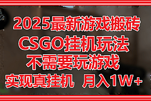2025最新游戏搬砖,CSGO挂机,不需要玩游戏,实现真挂机,月入1W+