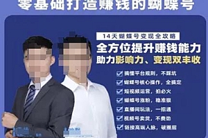 蝴蝶号专栏-视频号运营教程,零基础打造挣钱的蝴蝶号,14天蝴蝶号变现全攻略