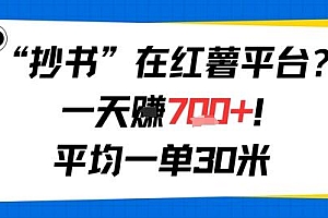 抄书在红薯平台?一天挣几张,平均一单30米,有手就行,新手小白不二之选!