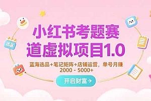 小红书考题赛道虚拟项目1.0,蓝海选品+笔记矩阵+店铺运营,单号月赚5000+