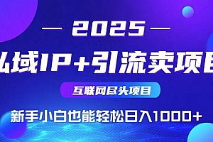 2025网创尽头项目,私域IP+引流,新手小白也能在家日入1000+