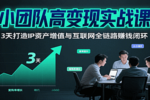 小团队高变现实战课,3天打造IP资产增值与互联网全链路赚钱闭环