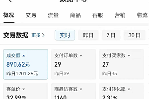 2025版多多冷门虚拟U盘项目玩法,单店铺月变现1w+,稳赚不赔!