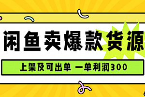 闲鱼卖爆款货源,每天利润1000,上架即出单