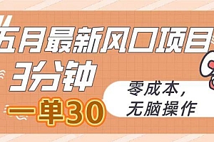 五月最新风口项目,3分钟一单30,零成本,无脑操作