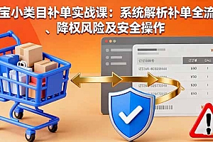 淘宝小类目补单实战课:系统解析补单全流程、降权风险及安全操作