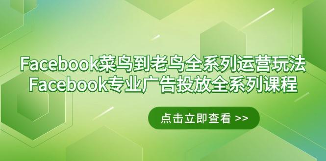 Facebook-菜鸟到老鸟全系列运营玩法+Facebook-专业广告投放全系列课程-1 Facebook-菜鸟到老鸟全系列运营玩法+Facebook-专业广告投放全系列课程-1