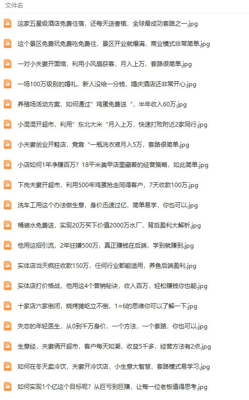 真实有效391套商业模式，年入几十到几百万案例解析（电子书+视频+图文）-4