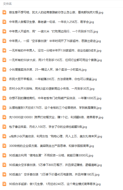 真实有效391套商业模式，年入几十到几百万案例解析（电子书+视频+图文）-5