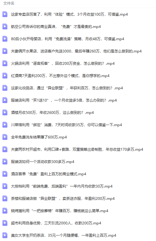 真实有效391套商业模式，年入几十到几百万案例解析（电子书+视频+图文）-6