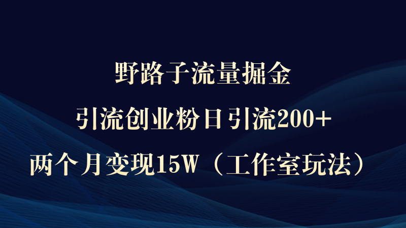 野路子流量掘金，引流创业粉日引流200+，两个月变现15W（工作室玩法））-1