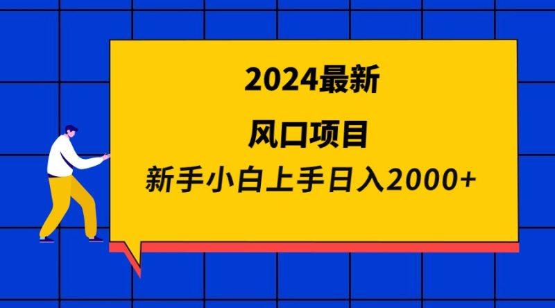2024最新风口项目 新手小白日入2000+-1 2024最新风口项目 新手小白日入2000+-1